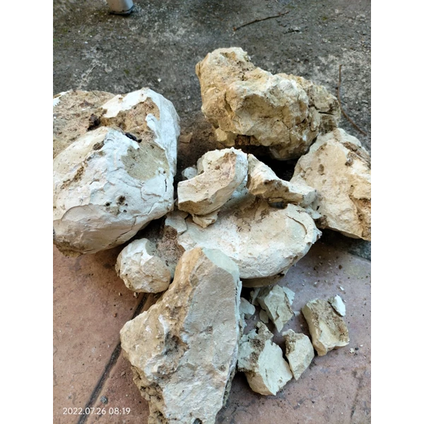 Batu Gamping / Kapur Aktif kadar 85%