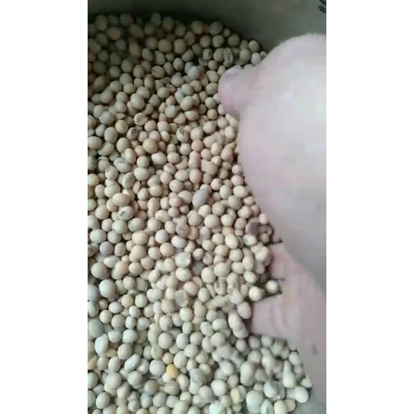 Imported Soybeans good quality ok
