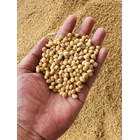Food grade quality local soybeans 2