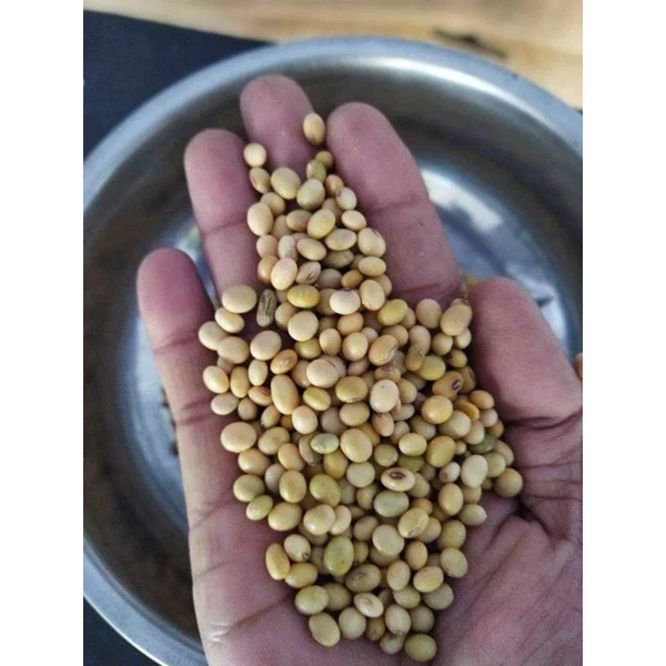 Food grade quality local soybeans