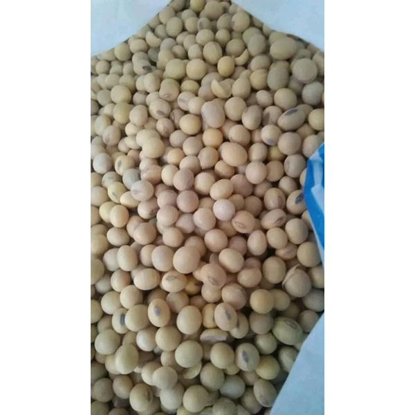 Kacang Kedelai import kualitas tinggi