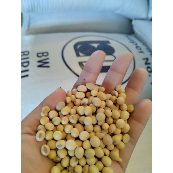 Premium quality imported soybeans ori