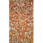 Dry shelled corn ka 15-17 1
