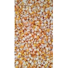 Dry shelled corn ka 15-17 2