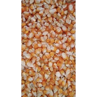 Dry shelled corn ka 15-17